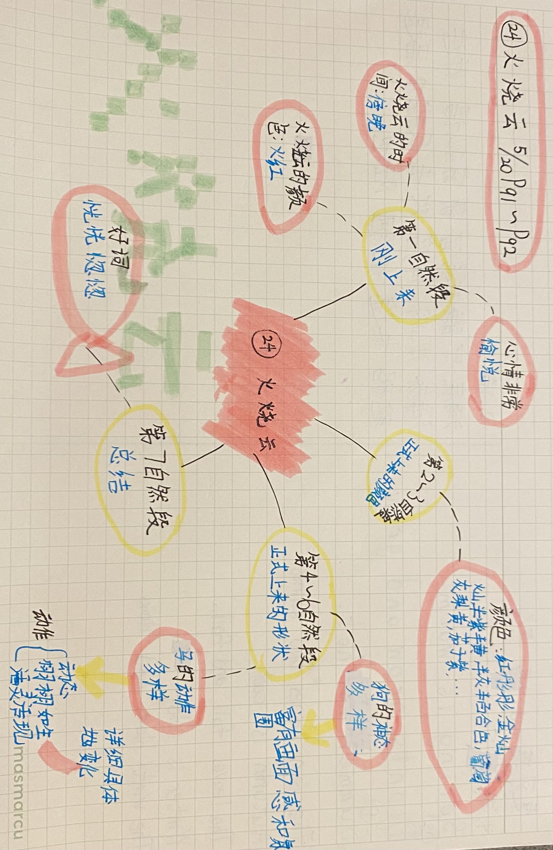 混血豺王思维导图图片