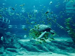 -福州罗源湾海洋世界旅游区