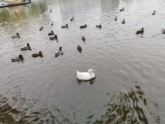 -团结湖公园