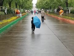 -上海都市菜园