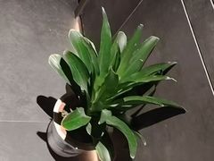 -天禧影院式足道·SPA(梅林店)