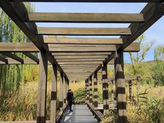 -北京西山国家森林公园