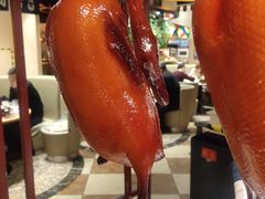 -福缘烤肉王自助(爱琴海-原比尔森店)