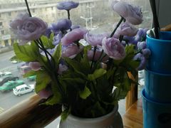 -四季小馆·地道北京小吃(广百店)