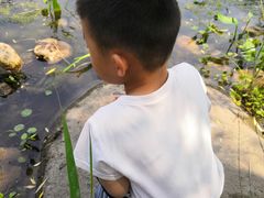 -新江湾城公园