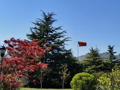 -棒棰岛宾馆景区