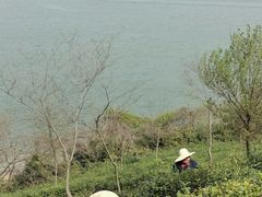 -天目湖涵田度假村