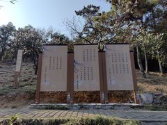 -香雪海