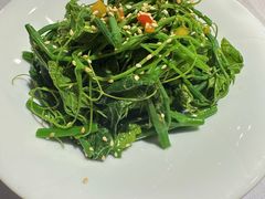 凉拌丝瓜尖-峨嵋酒家总店(车公庄店)