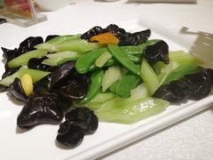 -楚畹园