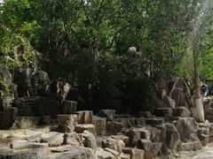 -莲湖公园