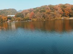 -杭州半山国家森林公园