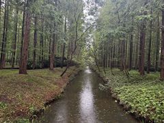 -黄海国家森林公园