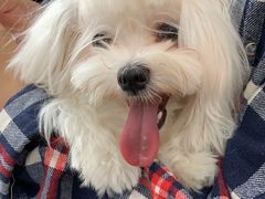 -爱侣宠医·鹦鹉专科·小型哺乳类·异宠专科(灵石路店)