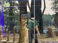 -清迈夜间动物园