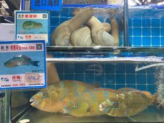 水产区-鸿港海鲜批发市场