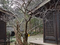 -黄公望隐居地