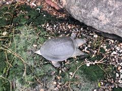 -上海市保健医疗中心