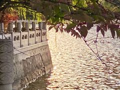 -迎泽公园