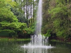 -上海共青森林公园