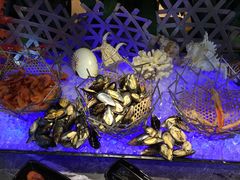 -长沙北辰洲际酒店-兰调全日餐厅