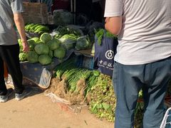 -北京清河镇农副产品交易市场中心