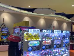 -MELAND CLUB亲子乐园•派对(虹桥万象城店)