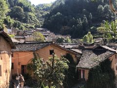 -杨家堂村