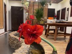 -龙源茶坊(白银路店)