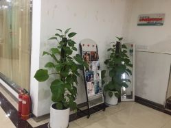 -痘博士重庆·全国连锁祛痘机构