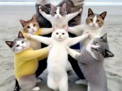 -泸溪河桃酥(欧尚店)