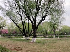 -南京医科大学(江宁校区)