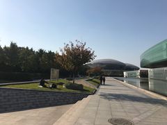 -金陵图书馆