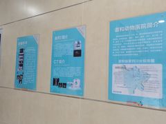 -谐和益家动物医院·免疫绝育·血液透析·宠保定点医院(高新伊藤分院)