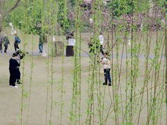 -沐仙湖湿地公园