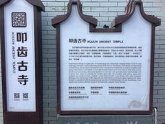 -叩齿古寺