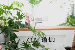 点击看大图 -OM瑜伽教练培训学院