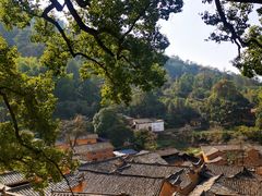 -杨家堂村