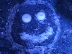 -石林冰雪海洋世界