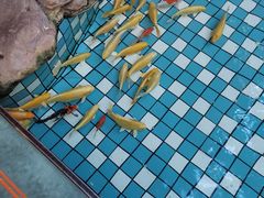 -大鹅岛绿色生态美食园