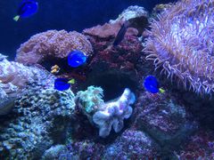 -成都浩海立方海洋公园