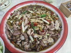 -东吴霸王兔(松青路店)