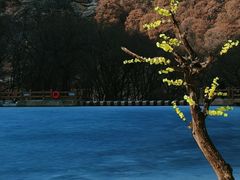 -少华山国家森林公园