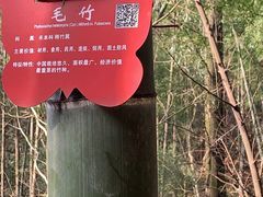 -天花井景区