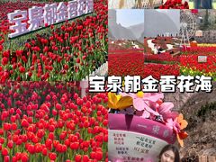 -河南宝泉旅游区