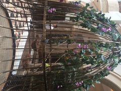 东部华侨城茵特拉根酒店-深圳东部华侨城茵特拉根酒店
