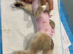 -美迦爱-牙专科·兔科·骨科诊疗中心(北苑店)
