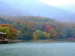 -紫霞湖公园