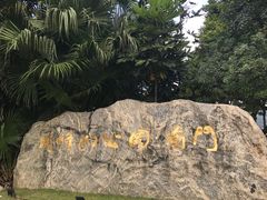 -顺峰山公园