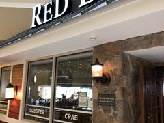 -RED LOBSTER(多伦多DT店)